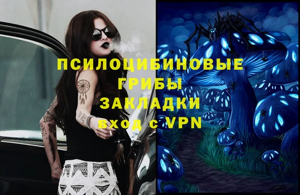 индика Абинск