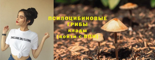 стафф Абаза