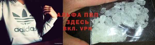 индика Абинск