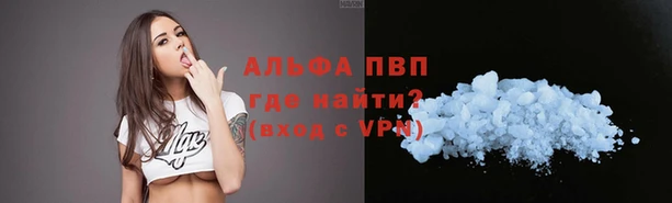 индика Абинск