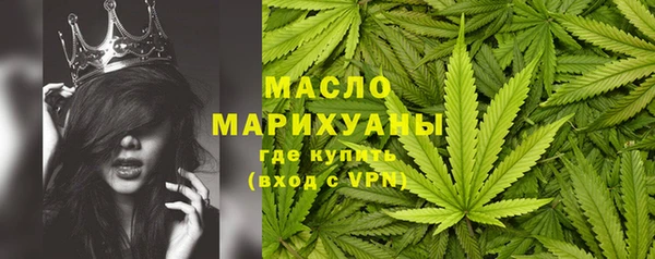 индика Абинск