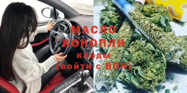 индика Абинск